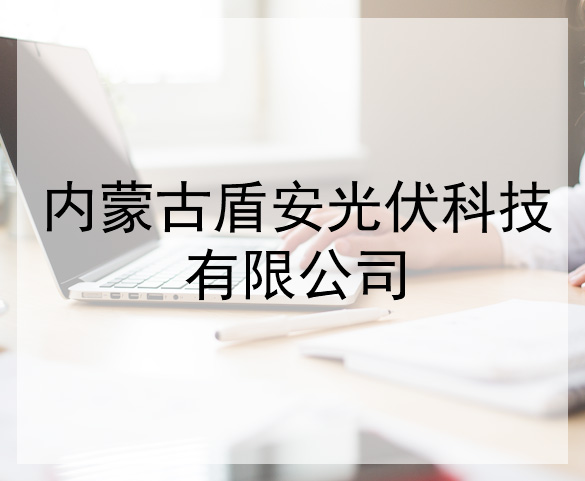 內(nèi)蒙古盾安光伏科技有限公司